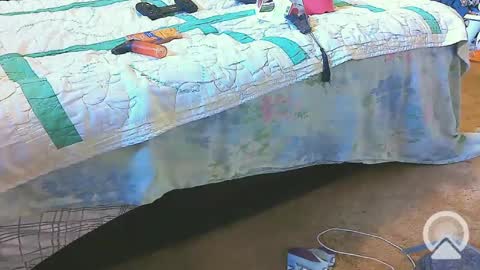 Snapshot of blondieblu89 chatting on 02.20.25 First Time College Boy online show from 02.20.25