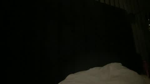 Snapshot of bloodbank23 chatting on 01.29.25 Thomas online show from 01.29.25