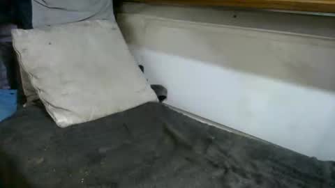 Snapshot of boatfun56 chatting on 02.12.26 boatfun56 online show from 02.12.26