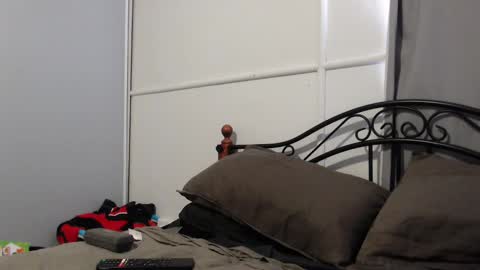 bob online show from 02.07.25