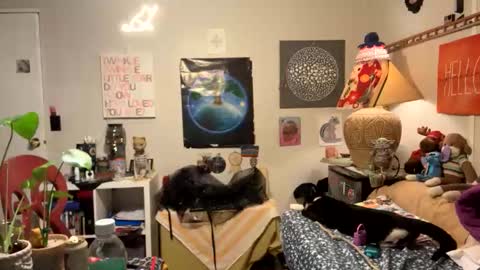 bobbyq2969 online show from 11.13.25