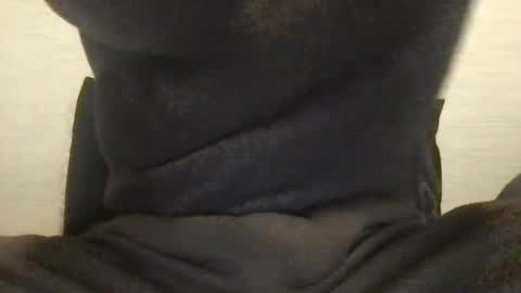 boblight221 online show from 01.09.25