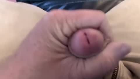 bobrossisalive online show from 10.14.25