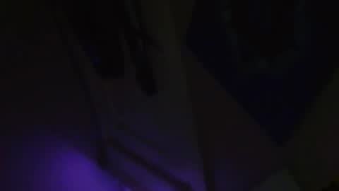 Beau and joe step bros hanging out online show from 11.19.25