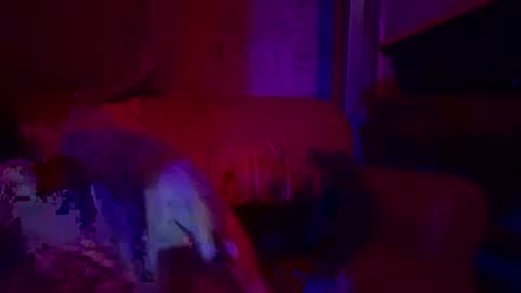 Snapshot of bodyyattiyatti chatting on 04.26.26 Sailorartemis online show from 04.26.26