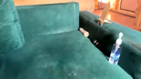 Nail and Olivia online show from 10.08.25