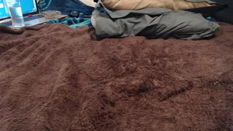 BoldPleasure online show from 12.13.24