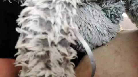 Bomberto online show from 02.10.25