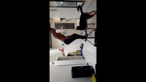 Boner Steve online show from 11.03.25