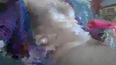 bonnieclyde90 online show from 10.12.25