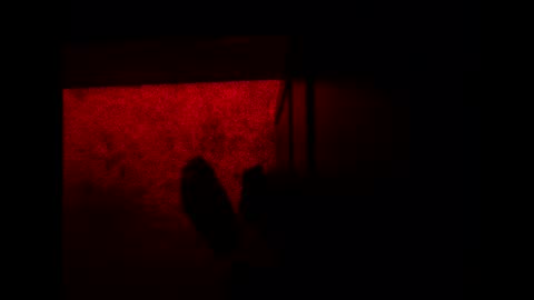 Snapshot of bonny8723 chatting on 11.03.25 bonny8723 online show from 11.03.25