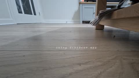 Snapshot of bonny8723 chatting on 01.13.26 bonny8723 online show from 01.13.26