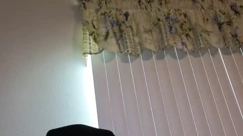 Snapshot of boobi2991 chatting on 04.21.26 sissy slut boobi online show from 04.21.26
