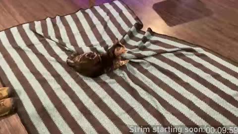 Booker Baxton online show from 09.24.25