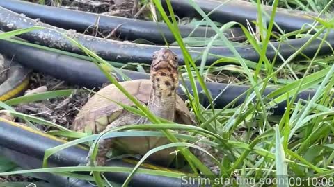 Booker Baxton online show from 10.30.25