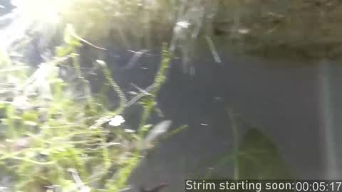 Booker Baxton online show from 11.27.25