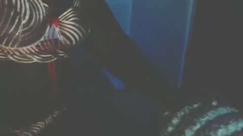 bootylicious254 online show from 10.27.25