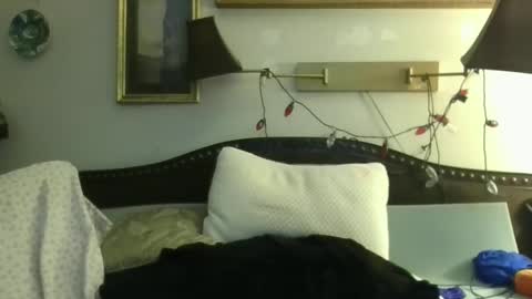 boredaf6678 online show from 12.16.24