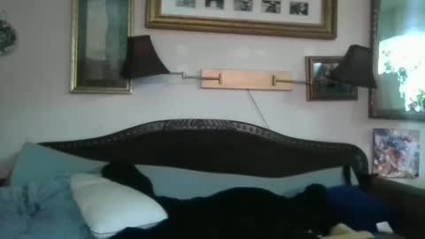 boredaf6678 online show from 12.16.24