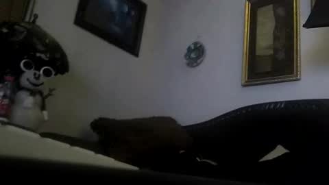 boredaf6678 online show from 12.23.24