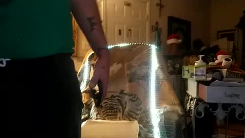 boredaf6678 online show from 12.25.24