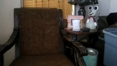 boredaf6678 online show from 12.25.24