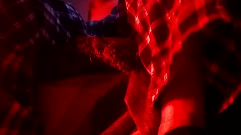 boredaf6678 online show from 02.01.25