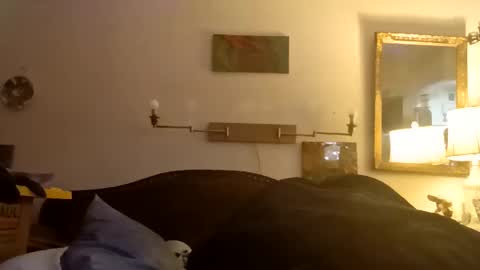 boredaf6678 online show from 12.16.25