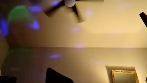 boredaf6678 online show from 04.03.26