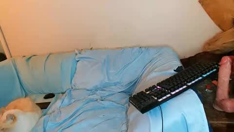 boredandirish21 online show from 10.04.25