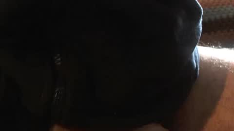 Snapshot of bossram160 chatting on 03.06.25 bossram160 online show from 03.06.25