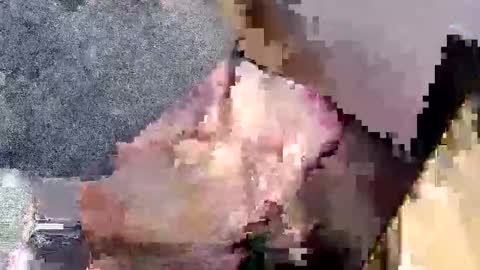 Snapshot of bossram160 chatting on 09.27.25 bossram160 online show from 09.27.25