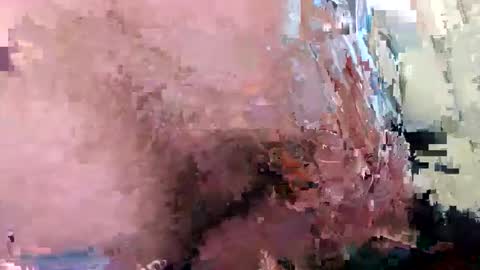 ciyro online show from 12.22.24