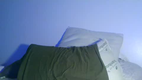 Snapshot of bowser2334 chatting on 12.30.24 Jason Jax online show from 12.30.24