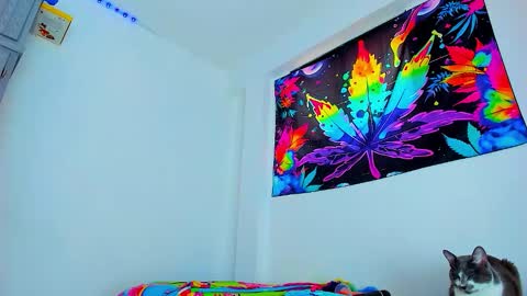 Snapshot of boy_trans chatting on 02.03.26 Edward ftm trans queerslave online show from 02.03.26