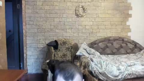 Snapshot of boyapollon chatting on 12.24.24 BoyApollon online show from 12.24.24