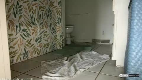 boysetsfire34 online show from 02.18.26