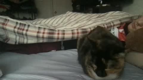 Snapshot of boywithbug chatting on 02.13.25 boywithbug online show from 02.13.25