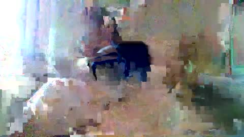 bpbww online show from 09.19.25