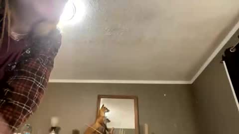 bps276 online show from 02.20.26