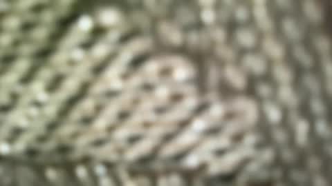 brandonconrad online show from 02.07.26