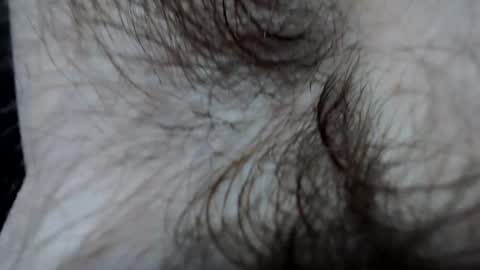 Snapshot of branflakes_ chatting on 02.21.25 branflakes_ online show from 02.21.25