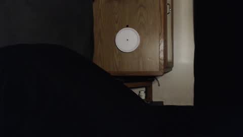 Snapshot of branflakes_ chatting on 09.13.25 branflakes_ online show from 09.13.25