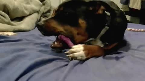 Snapshot of breeandgeebondage303864 chatting on 02.16.25 breeandgeebondage303864 online show from 02.16.25