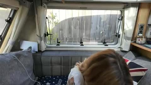 Snapshot of british_rosie chatting on 05.25.26 Want to see more online show from 05.25.26