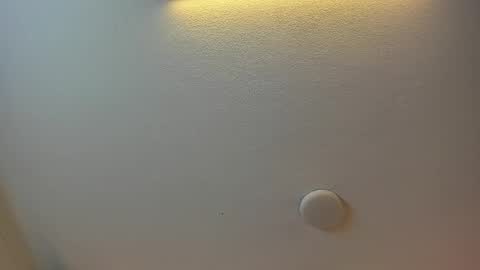 Brittany  online show from 03.06.25