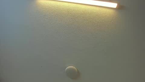 Snapshot of brittany069 chatting on 02.08.26 Brittany online show from 02.08.26