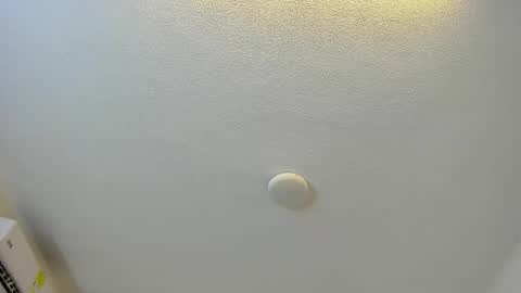 Snapshot of brittany069 chatting on 03.01.26 Brittany online show from 03.01.26