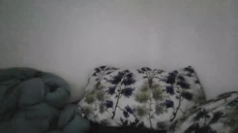 Snapshot of bruc12168 chatting on 06.20.26 Bruc12168 fit slim new makemecum bigdick edging online show from 06.20.26