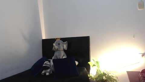 brucestroud online show from 01.06.26